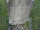image of grave number 50980